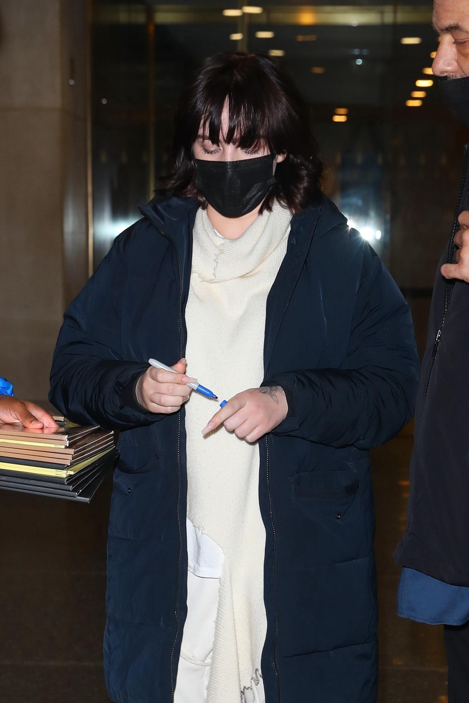 Billie Eilish オフィシャルマスク Billie Eilish Official Mask 2-Pack