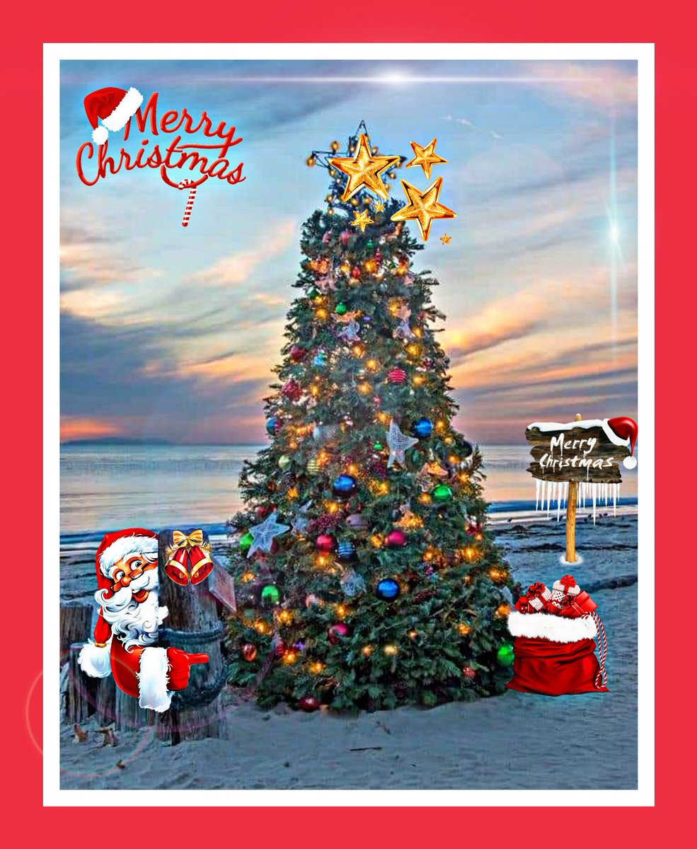 Teray Privette (Actor) 🎬🎥🎭 tweet media