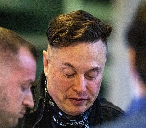 MorningBrew's tweet photo. Tesla is down 6.5% since Elon got this haircut https://t.co/z3p2ibyZXP