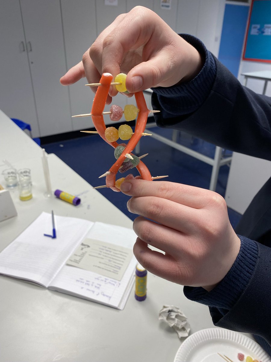 StsPnP_Science tweet media