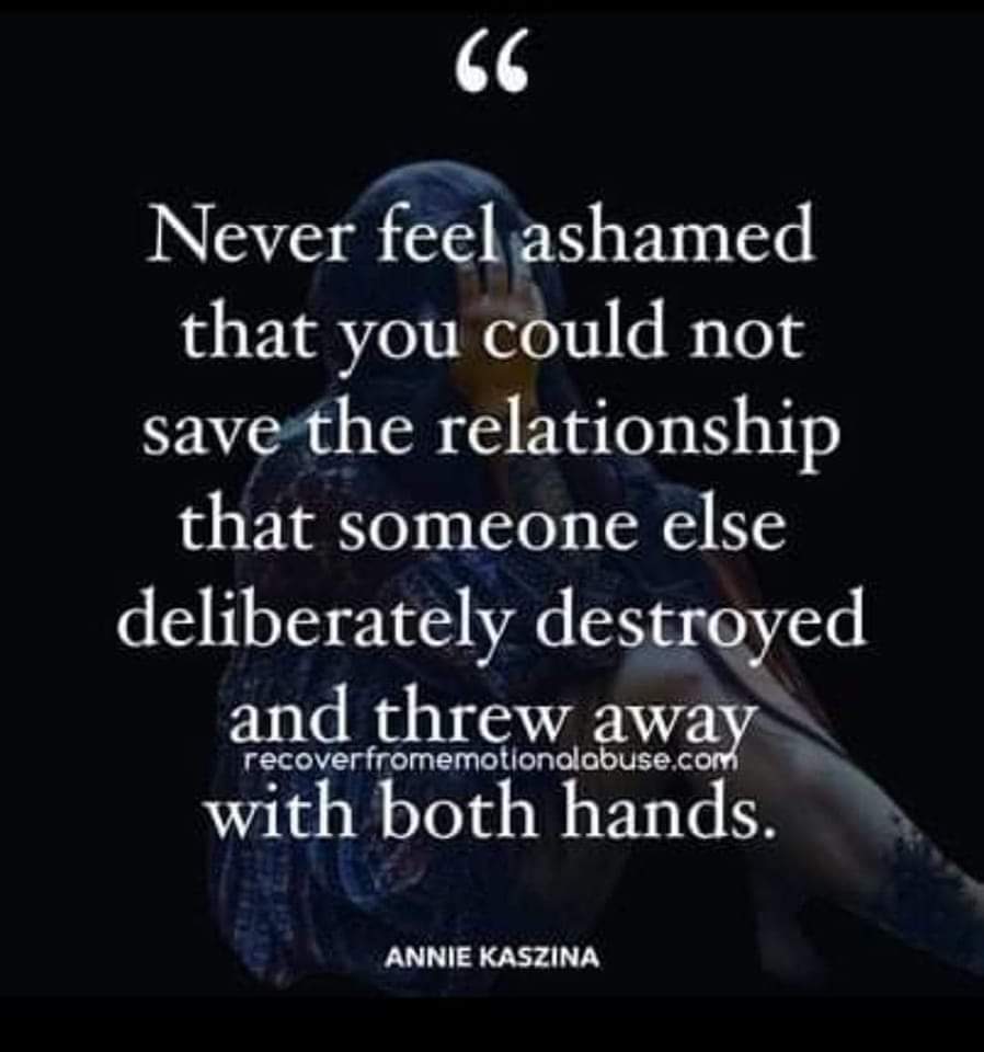 N my feelings today🥺