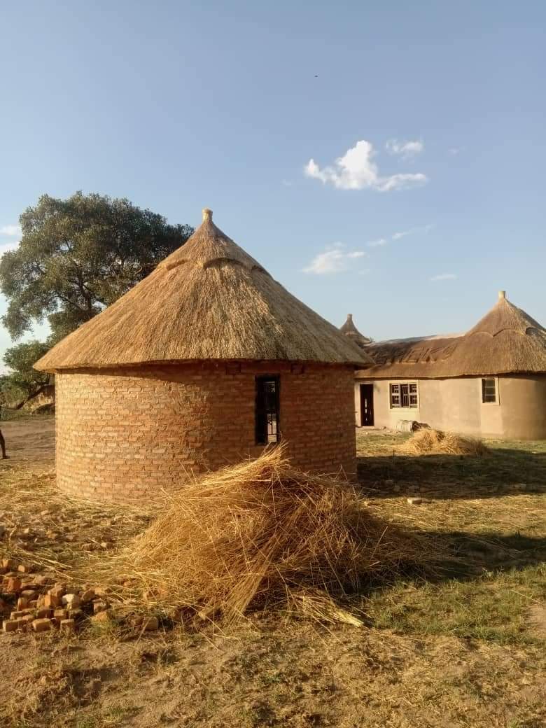 bereka's tweet photo. The simplicity and irganic lifestyle. Mbereko https://t.co/Pu2iYzOQQM