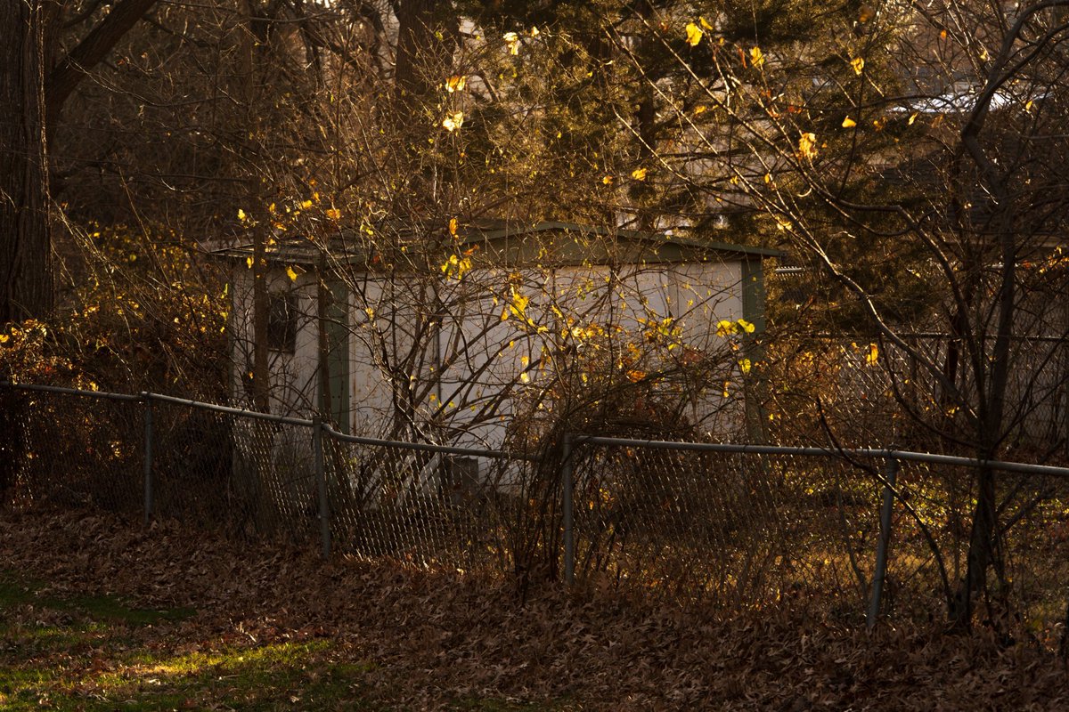 ChrlesBruwicz tweet media