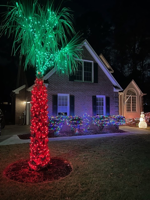 ProclaimInter's tweet image. An inside look at how some of the Proclaim team decorated for Christmas this year. 🎄