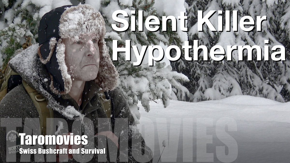 SwissBushcraft's tweet photo. "Silent Killer" Hypothermia Survival Basics in a Winter Wonderland / Bus... https://t.co/yXgb2fydDX via @YouTube https://t.co/K1i9A5DozM