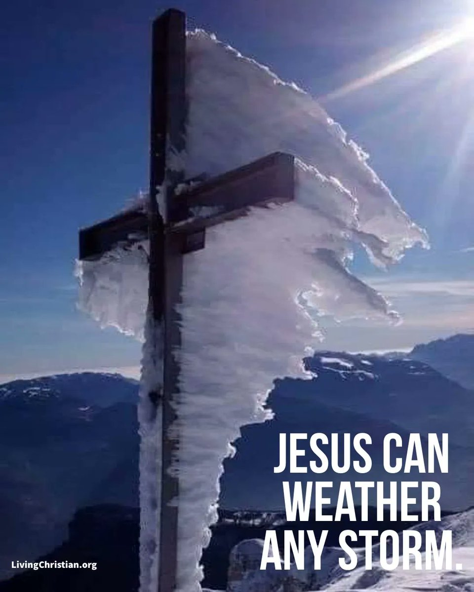 No matter what storm is raging in your life, let Jesus be the shield of protection.