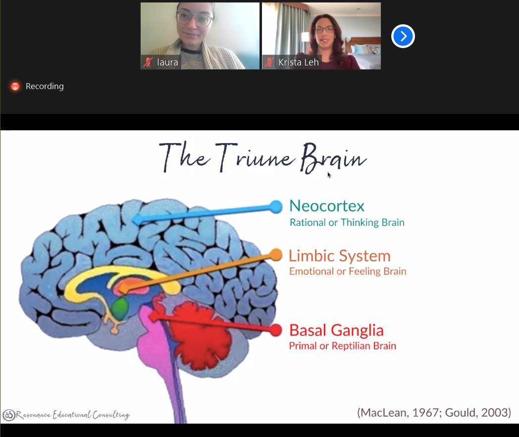 AscdLaura's tweet photo. So excited to be at day two of #VASCD2021 learning about SEL brain science with 
@Resonance_Ed
 and Sheila Kennedy. My major take-away thus far: There are no good emotions or bad emotions- only emotions. It's up to us how we choose to handle them and learn from them. https://t.co/o65GTpUhIV
