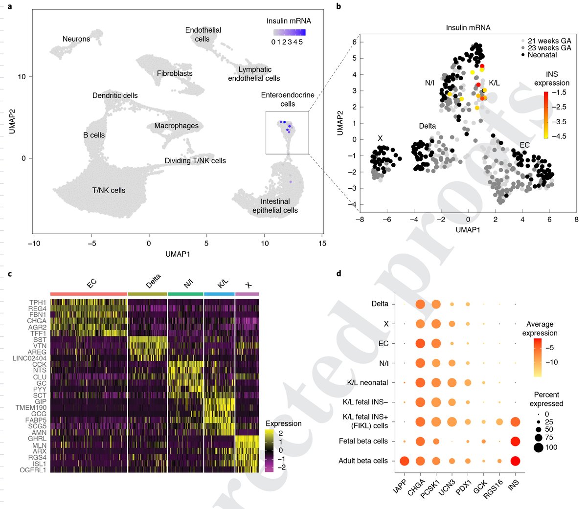 Our paper online in <a href="/NatureMedicine/">Nature Medicine</a>: Insulin is expressed by enteroendocrine cells during human fetal development. nature.com/articles/s4159…. A wonderful collaboration with <a href="/LizaKonnikova/">Konnikova lab</a> led by <a href="/AdiEgozi/">Adi Egozi</a>. 1/6