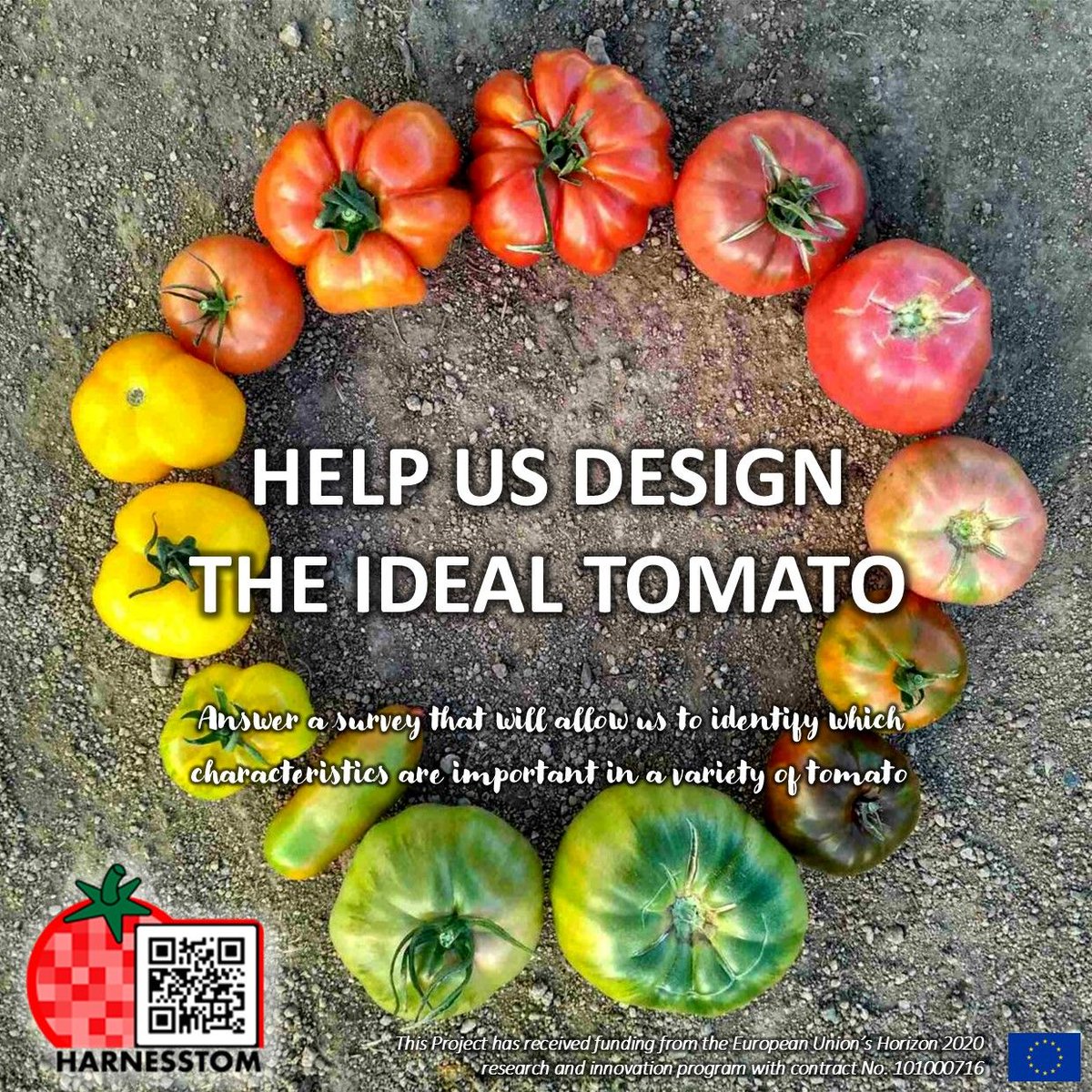 🍅 The Harnesstom project team is designing the ideal tomato. Want to help us? 📝 Just complete this questionnaire: harnesstom.eu/en/survey.html