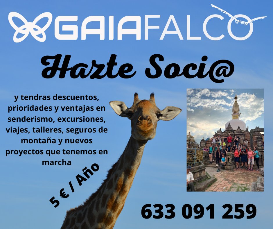 Gaia_Falco's tweet photo. Hazte Socio de #FALCO &amp; #GAIA
#Actividades todos los meses
5 €/año, pero si te inscribes en alguna de nuestras actividades te regalamos la cuota.
Descuentos y preferencia en viajes, excursiones y senderismo
Tramitación seguros d montaña
ℹ 633091259
https://t.co/LsoxD8b0LI https://t.co/NuL0RSTTPm