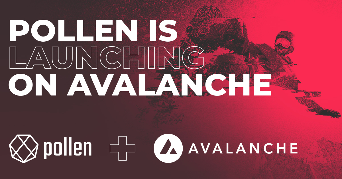Pollen DeFi 🔺 tweet media