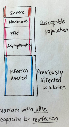 But imagine our population also has a large fraction who have been previously infected. Because the variant has little capacity to re-infect, these potential infections were averted. 3/8