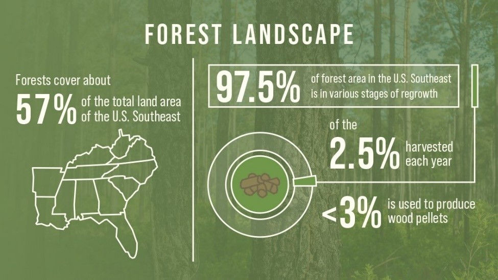 Enviva's tweet photo. The future of our business goes hand-in-hand with thriving forests in the U.S. Southeast. Enviva produces sustainable wood pellets using responsible sourcing practices that keep our forests healthy and growing. https://t.co/oojiS5hwWX
