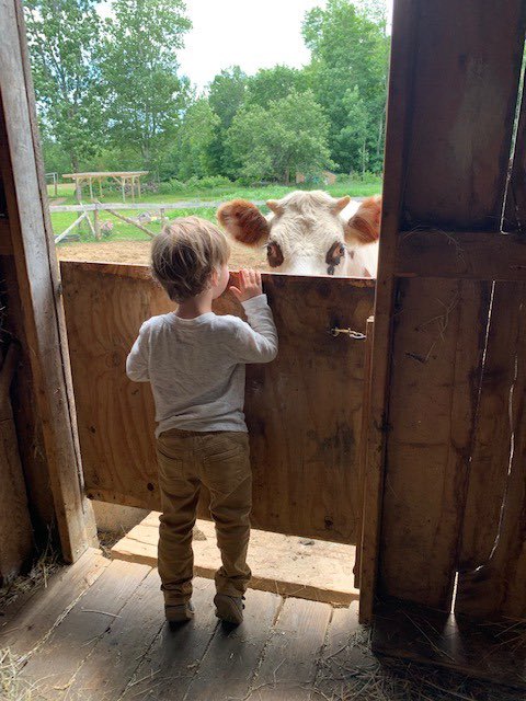 PeaceAlliance's tweet photo. Peace-a-boo! by Judy Kimmel
Teaching Peace in Schools
Honorable Mention in our Visions of Peace Photography Contest.#GotPeace #VisualizePeace https://t.co/Clc5g93QMM
