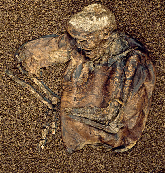 #TBT: Lindow Man, who lived in the first century A.D. and was discovered in a bog called Lindow Moss in northwest England, had just eaten a grilled bran pancake when he was beaten and strangled to death. 

archaeology.org/1005/bogbodies/
)