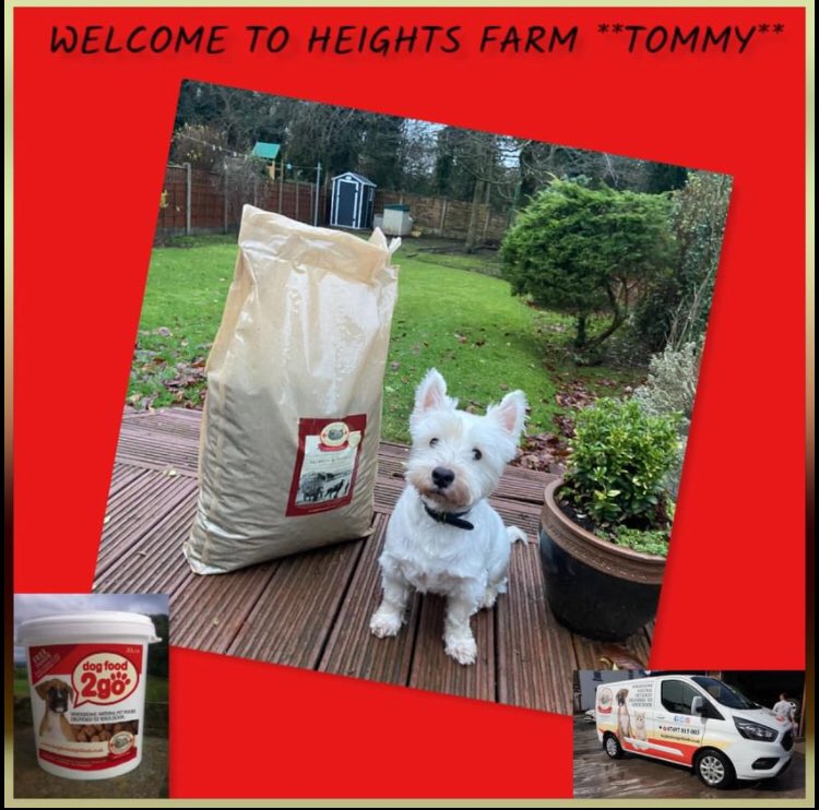 Heightsfarmstef's tweet photo. **New customer** Tommy, welcome to Heights farm.
https://t.co/14qFxWk6Ru https://t.co/78EwX9AXBg