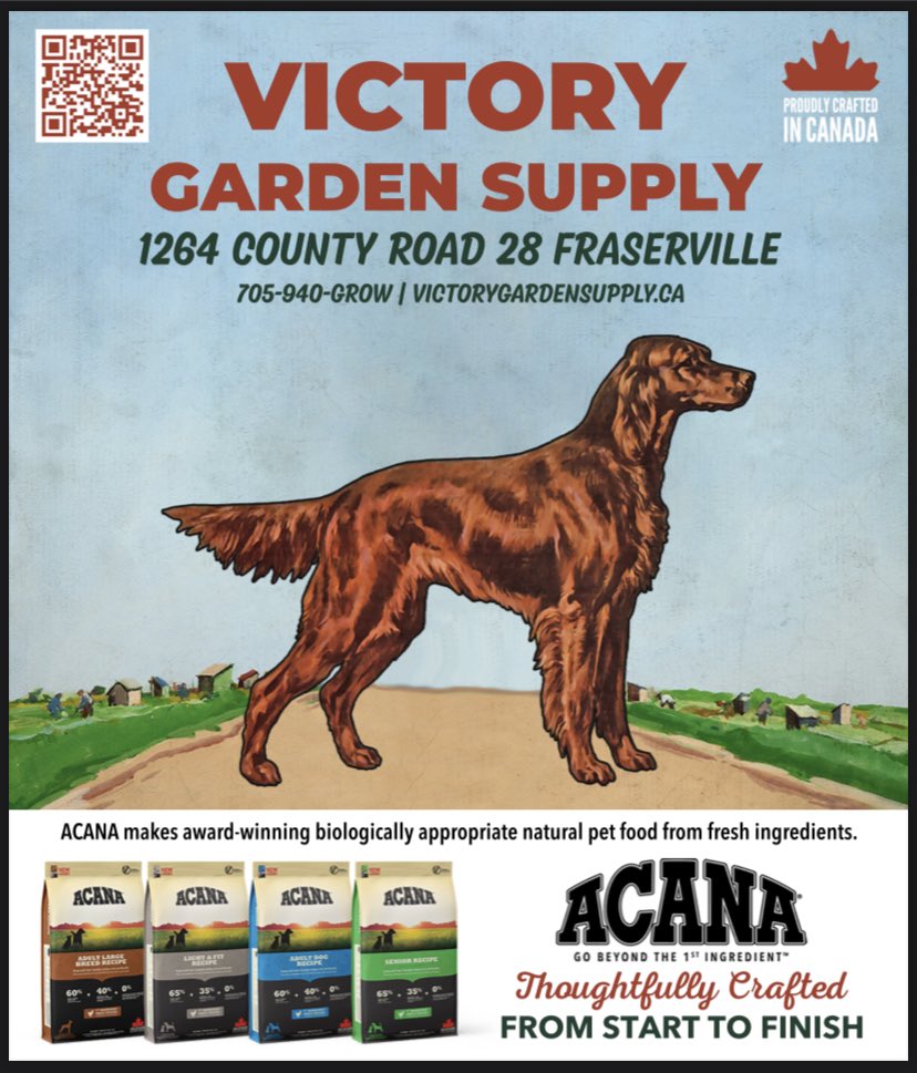 Victory_GS's tweet photo. Victory garden Supply Offers a full selection of @ACANAPetfood check us out in store or online https://t.co/bB2izuxg5S https://t.co/GdzIp1c9Bm