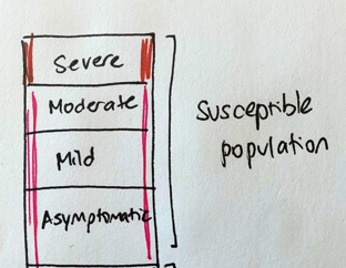 Imagine a variant with little capacity for re-infection. The susceptible population is exposed to enough virus to infect. The infections include severe, moderate, mild disease, and asymptomatic infections. (Here I point out that these sketches are not to scale.) 2/8