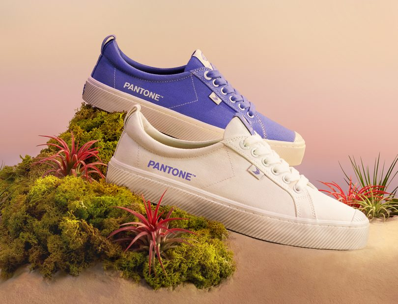 بعد أن كان الأصفر والرمادي تدرّجا لعام 2021 منظمة بانتون #pantone تختار اللون #البنفسجي الفاتح Very Peri الذي يجمع ما بين الأزرق والبنفسجي ليكون لون بانتون لسنة 2022 والذي سيعكس الأمل والتجدد نحو المزيد من الإبداعات .. رأيكم باللون ؟