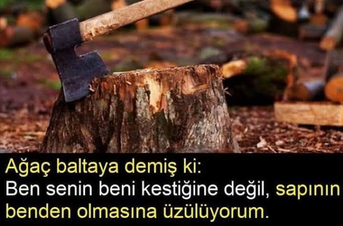 Hayatta bu şekilde malesef😓
