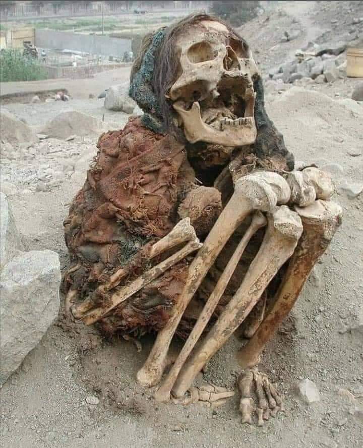 ImranRajpot16's tweet photo. اگر یہی حالت ہونی ہے تو پھر غرور کس بات کا
اللّٰہ تعالیٰ ہمارا خاتمہ ایمان پر فرمائے آمین 
💯❤️🤲 https://t.co/YgdTHIoWyU