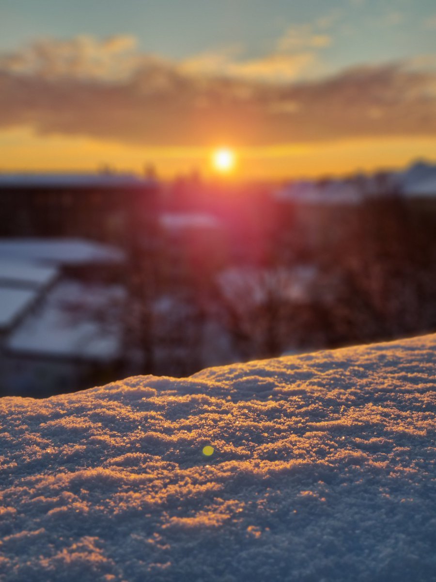 LIVEst_ee's tweet photo. Beautiful winter sunset over the snow #Tallinn #Estonia #Eesti #Таллинн #Таллин #Эстония https://t.co/PlN3YspEJd