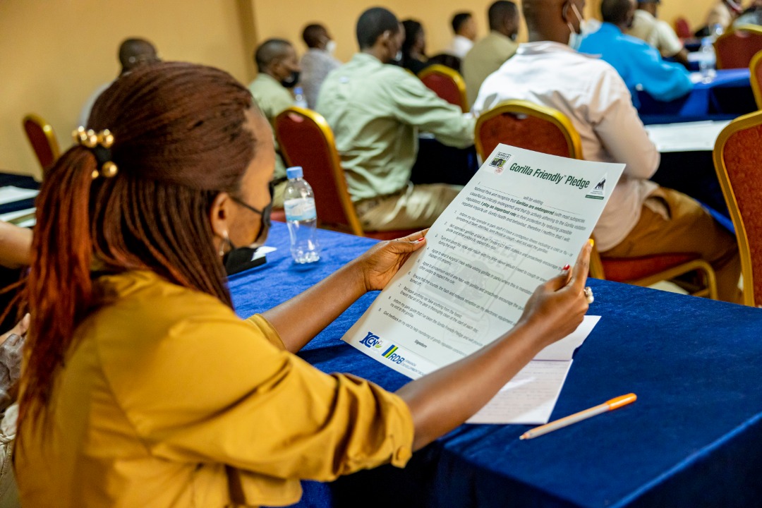 IGCP's tweet photo. Today the #gorillafriendlyTM #Pledge to promote responsible #mountaingorilla tourism was officially launched in #Rwanda ! Thank you @RDBrwanda @TourismChamber  and #Rwanda Tour guides and Tour Operators for the commitment towards bettering mountain gorilla conservation! https://t.co/sh00eVEDFw