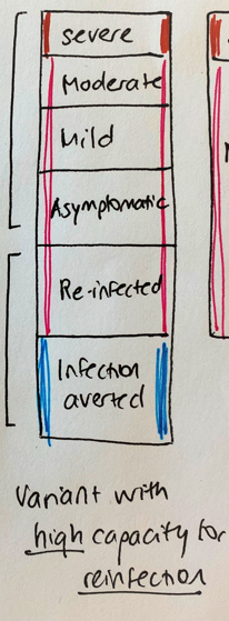 Now imagine a variant with high capacity for re-infection. Amongst the susceptible population, the severity of the cases has not changed. Still the same fraction severe, moderate, mild, asymptomatic. But now we see re-infections, and these are generally not severe. 5/8