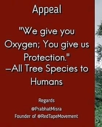 RedTapeMovement's tweet image. Tie #RedTapes on trees trunks to deliver message that deforestation is not good for survival of life on Earth, #ClimateHug the trees &amp;amp; oath to #SaveNature. Act #ForNature &amp;amp; #ChangeClimateChange
youthkiawaaz.com/2019/09/red-ta… #SDG13
(@ErikSolheim @CitiesWNature @NYC_Nature @prabhatmisra)