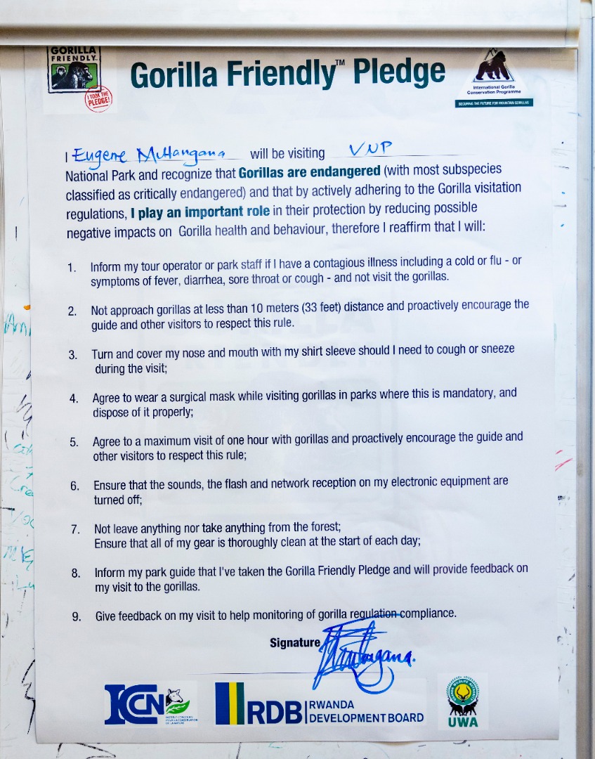 IGCP's tweet photo. Today the #gorillafriendlyTM #Pledge to promote responsible #mountaingorilla tourism was officially launched in #Rwanda ! Thank you @RDBrwanda @TourismChamber  and #Rwanda Tour guides and Tour Operators for the commitment towards bettering mountain gorilla conservation! https://t.co/sh00eVEDFw