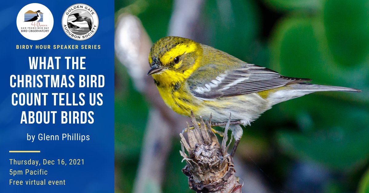 SF Bay Bird Observatory tweet media