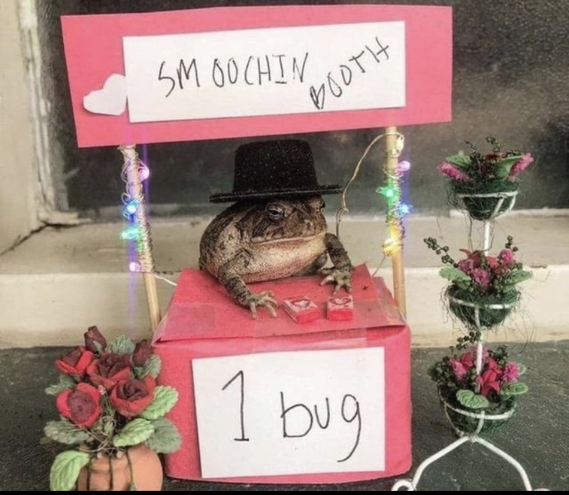 WholesomeMeme's tweet photo. https://t.co/WY2mt6zyE4