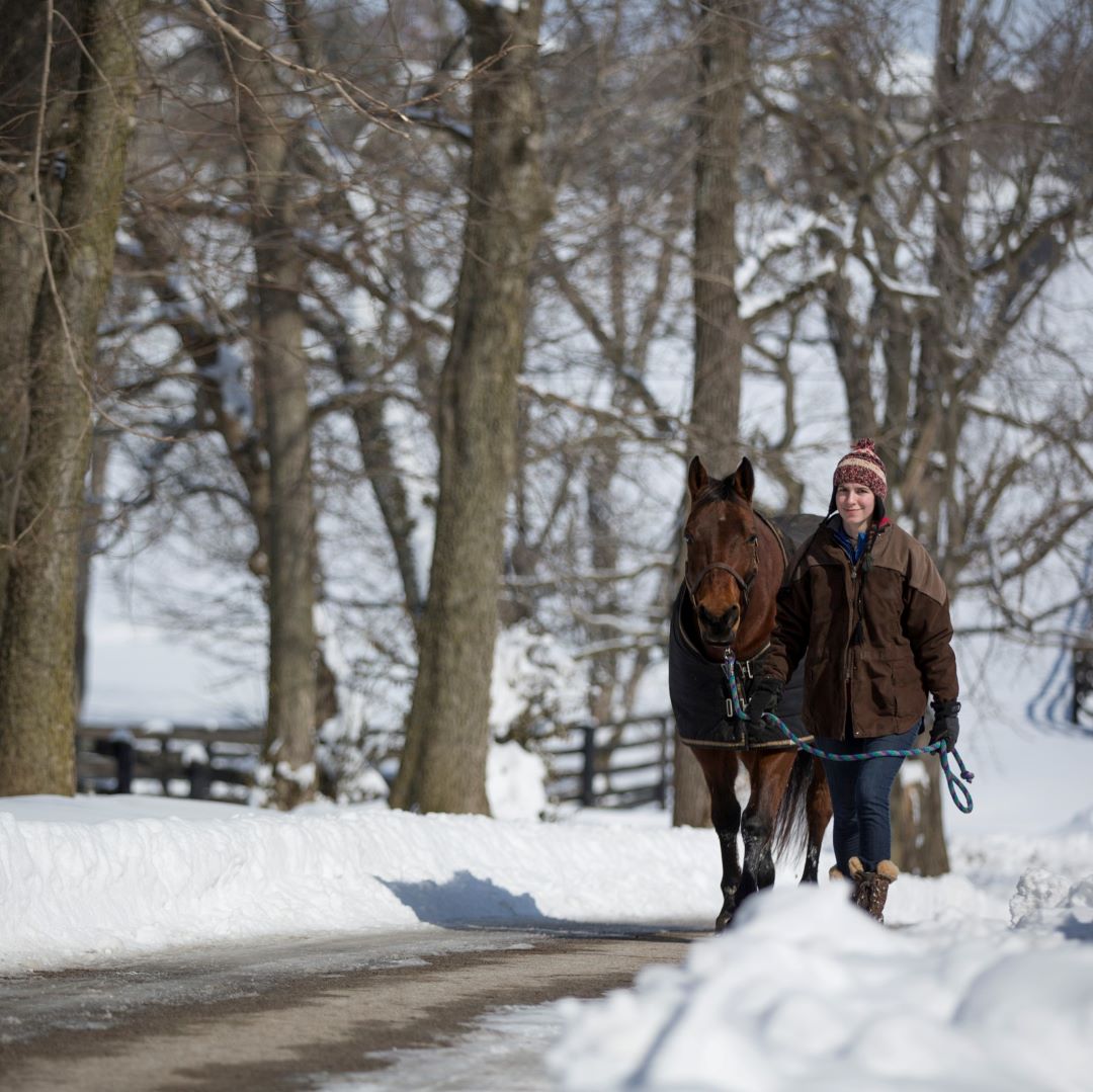MidwayUniv's tweet photo. Wherever your path leads you during break, stay safe and have fun. Enjoy your holiday vacation. Classes resume January 10. #winterbreak #midwayuniversity #equine #horsesoftwitter #horse #equineprogram #winter #holidaybreak https://t.co/9zkQfoe0nb
