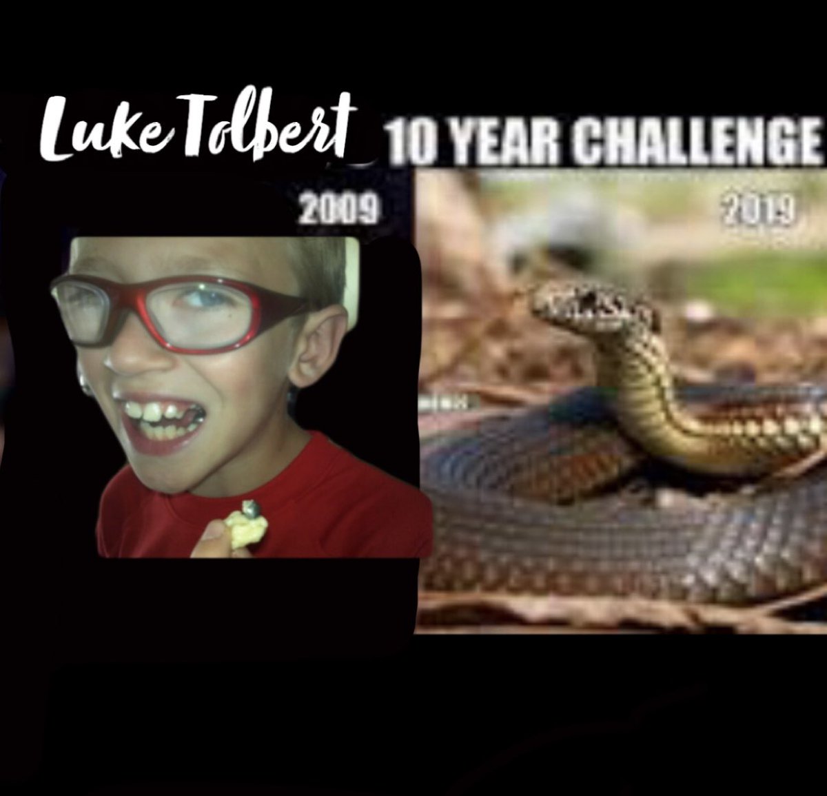 Soft as a cupcake… <a href="/luketolbert2/">luke tolbert</a>