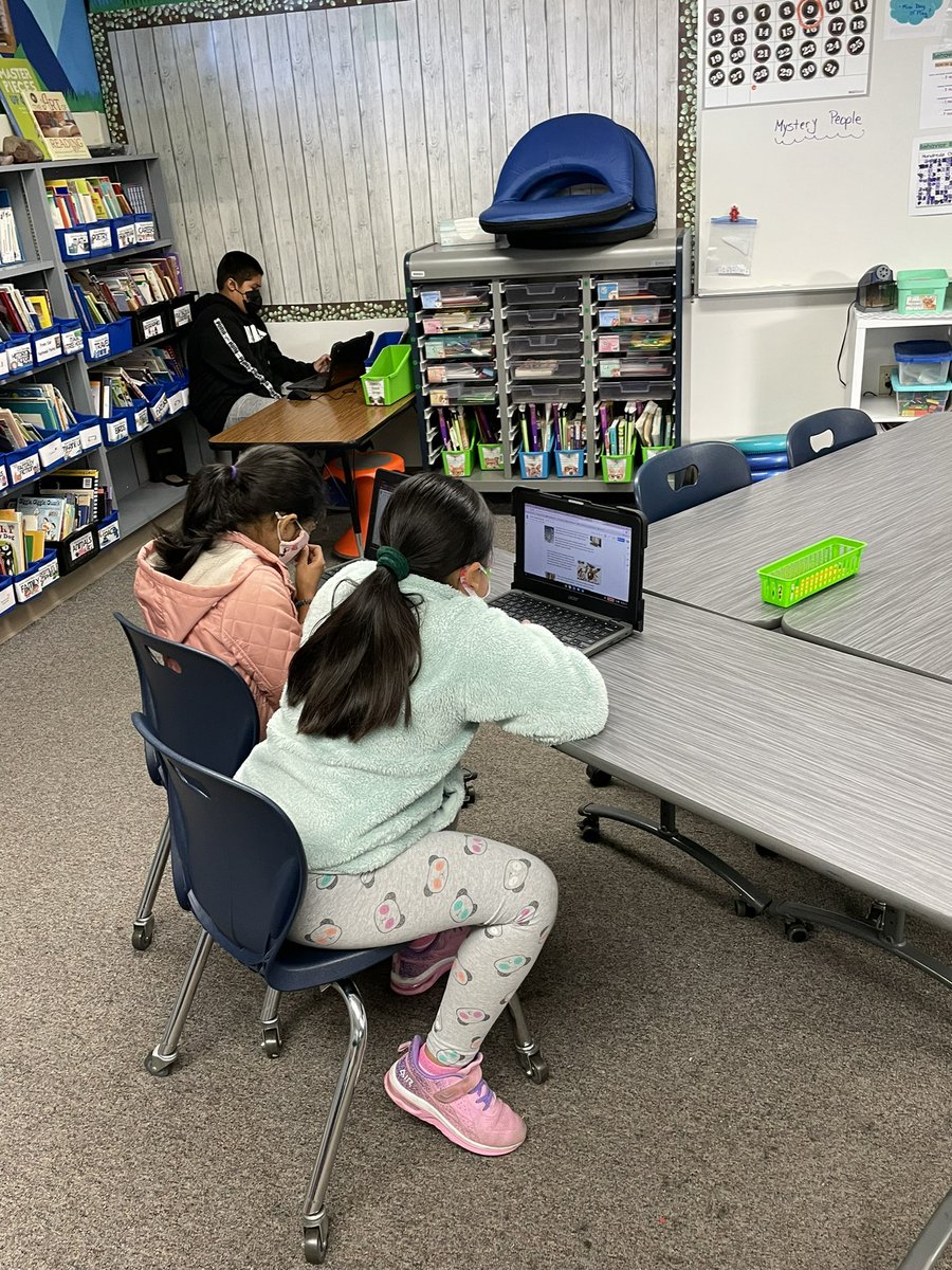 Teresa Codemo tweet media