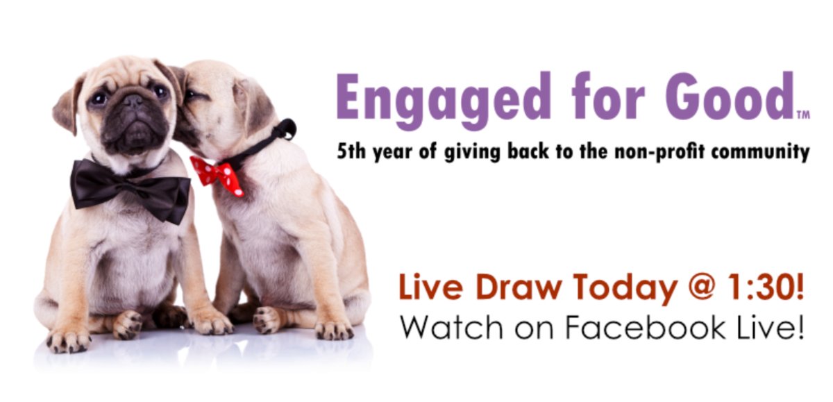 EngagedHR's tweet photo. 📢 𝐃𝐨 𝐧𝐨𝐭 𝐦𝐢𝐬𝐬 𝐭𝐡𝐞 𝐋𝐈𝐕𝐄 𝐝𝐫𝐚𝐰 📢

Make sure to watch our Facebook live stream today at 1:30 pm (PST) to see the winners of 2022 Engaged for Good™ Scholarship Program. We will be awarding 2 individuals. #EngagedForGood #EngagedHR
https://t.co/BWScEOKDWl https://t.co/BAs2UCd116