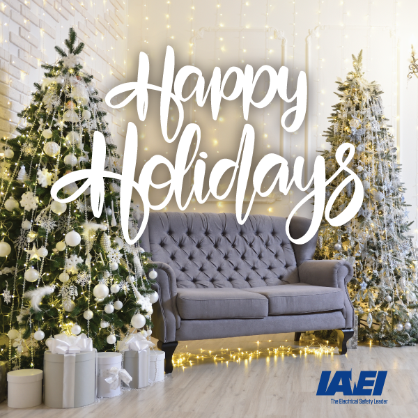 IAEI's tweet photo. Happy Holidays from IAEI. https://t.co/QG1yQRbpUh #iaei #electricalprofessionals #electricalinspector https://t.co/LhoBPMicSy