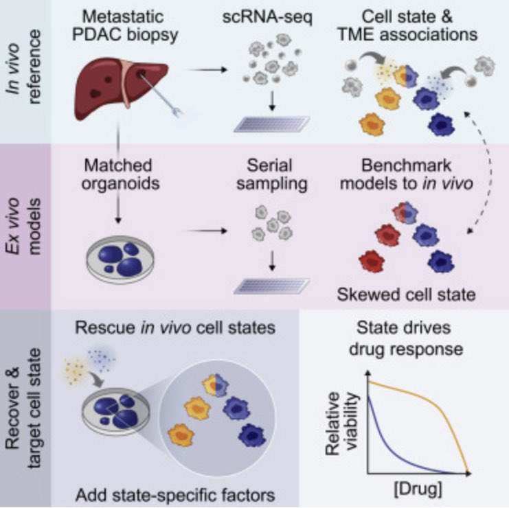 Luca Pompella tweet media