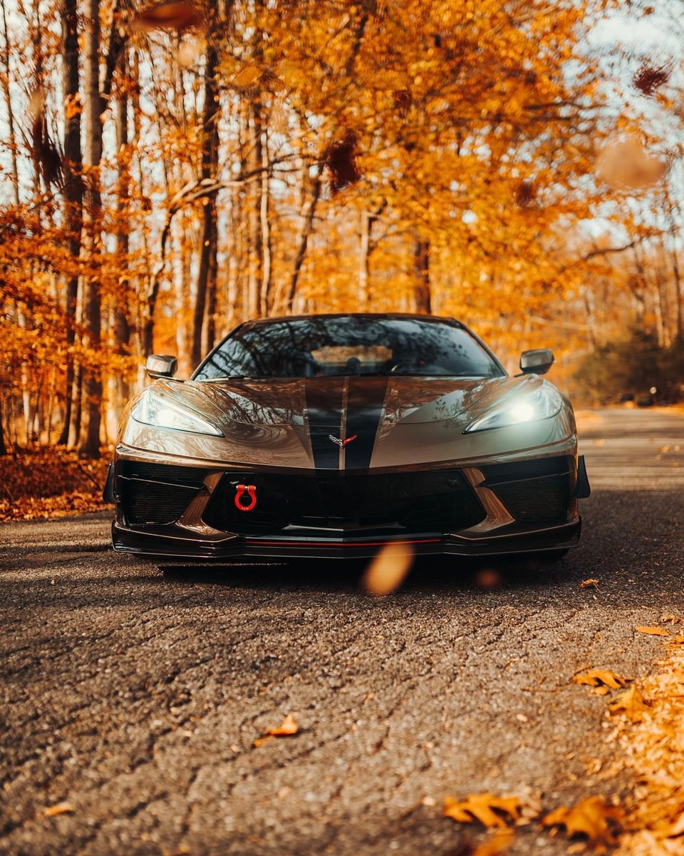 The #C8 #Corvette in Zeus Bronze Metallic doesn't disappoint! 📸: @d4nmedia/IG