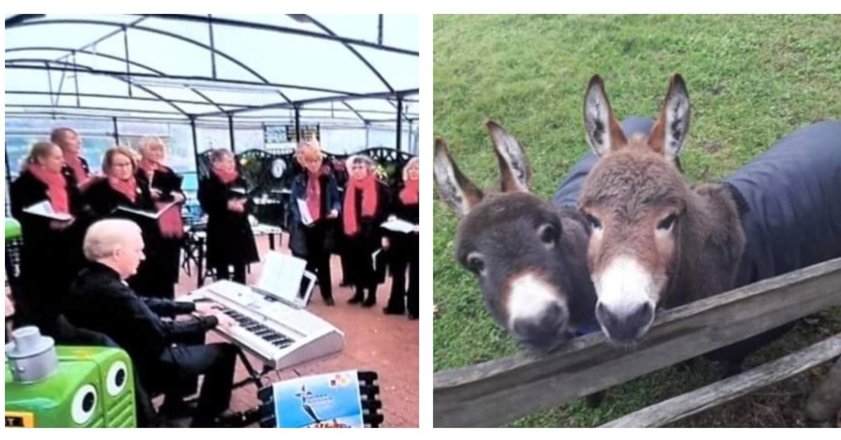 Come and enjoy seasonal carols, meet the little donkeys and try a warm waffle and ice cream at the garden centre this Saturday December the 11th.

fb.me/e/2IEX7eKB4