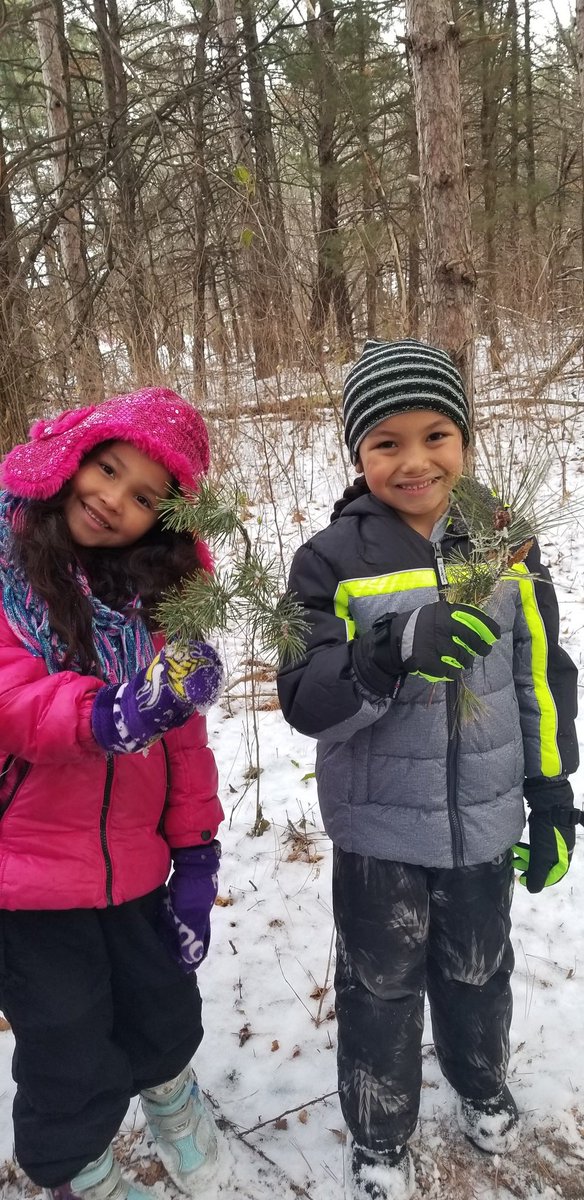 McMahonFirsties's tweet photo. Using pine cones and pine needles to identify conifers and compare and contrast. #mcfirsties #handsonlearning #firstgradeforesters #wonder #fostercuriosity #getoutside https://t.co/hmYQSdifbv