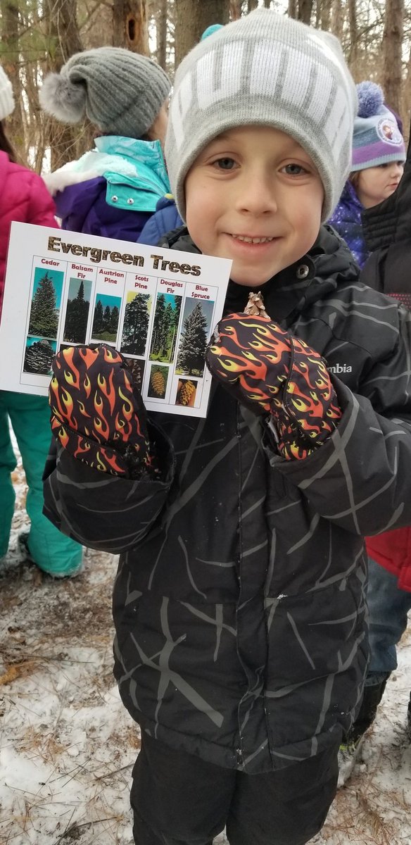 McMahonFirsties's tweet photo. Using pine cones and pine needles to identify conifers and compare and contrast. #mcfirsties #handsonlearning #firstgradeforesters #wonder #fostercuriosity #getoutside https://t.co/hmYQSdifbv