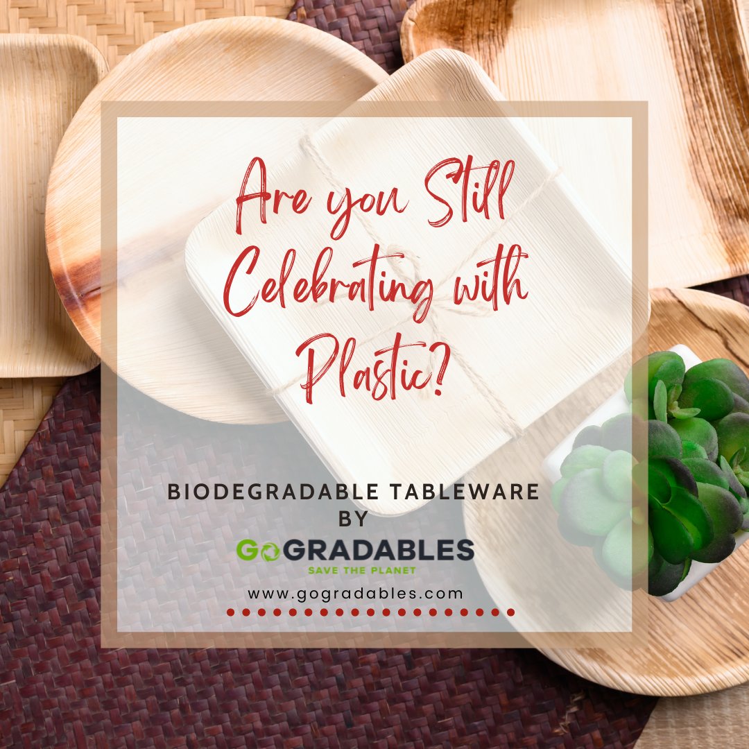 GoGradables's tweet photo. Are you still celebrating with Plastic?

In our plastic-filled world, avoiding plastic can be pretty challenging. 

At GoGradables we have a range of eco friendly tableware - a perfect alternative for your celebration needs.

#plasticfree #ecofriendlytableware #gogradables https://t.co/ZtcV0ulKp8