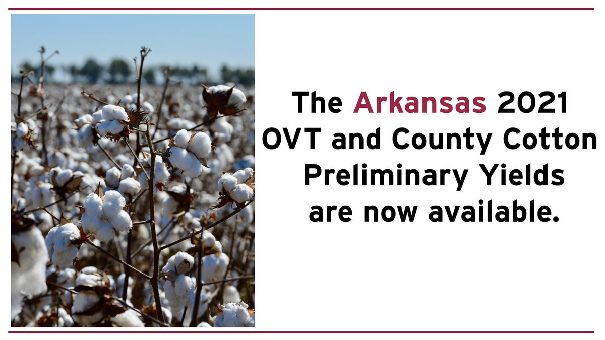 The 2021 Preliminary Yields for the OVT and County #Cotton variety tests are NOW available on the Arkansas Variety Testing website.

Find the results here➡️ aaes.uada.edu/variety-testin…