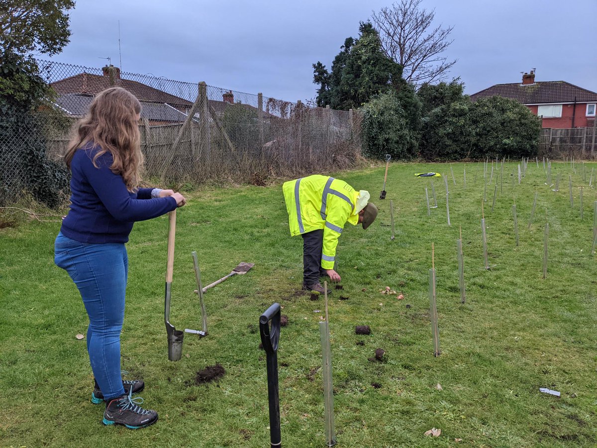 weareurbangreen's tweet photo. Our arboriculture team were out planting trees and bulbs in Southport this afternoon alongside @sovinigroup @ovhousing supporting The High Park Project organised by @BrighterL

#socialvalue #communityimpact #communitysupport #givingbacktothecommunity #community https://t.co/ZOOlItzXxg