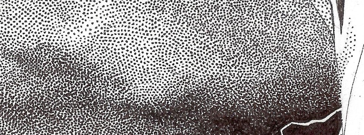 GabrielSMoses's tweet photo. I remember taking two whole months for this particular one. no matter how finely I tuned it, it felt like I could go deeper.
u can see what I mean in this up-close detail

the end result is a splice between the original pen drawing an some photoshop vectoring https://t.co/kCu9O4B5Jb