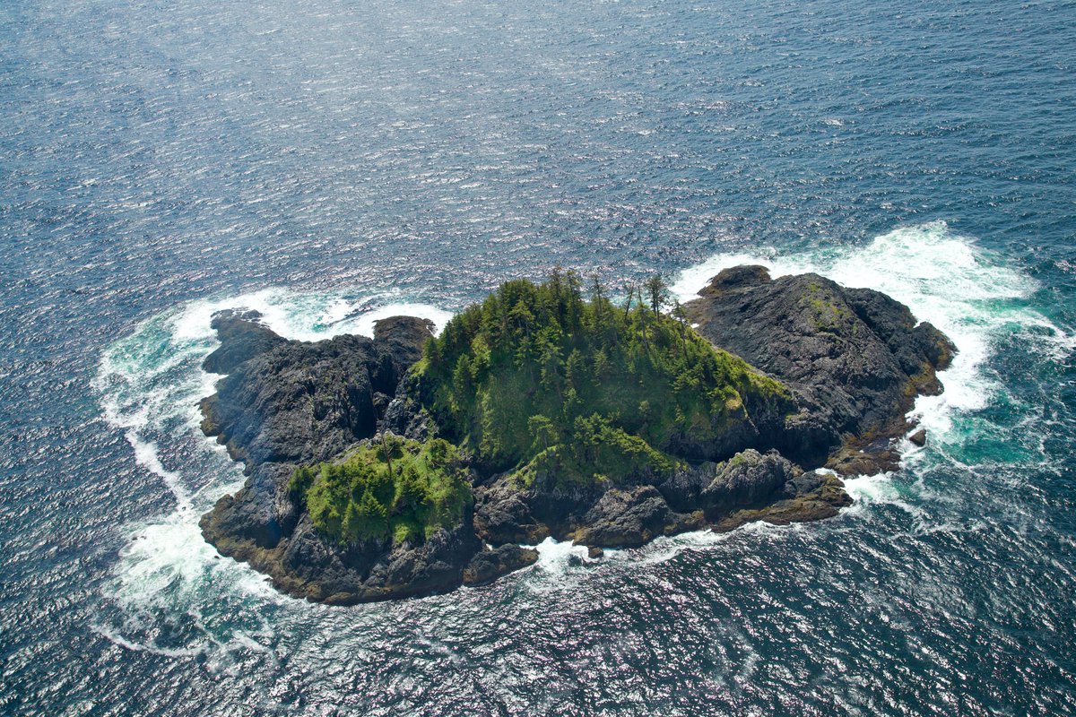 HaidaTourism's tweet photo. Often referred to as the Galapagos of the North, #HaidaGwaii is one of the most dynamic & diverse lands on earth.
Journey here in 2022 to experience it yourself - more @ https://t.co/1A64X8aP2n
#wanderlust #travelgoals #explorecanada #travelwell #explorebc #authenticindigenous https://t.co/dpOEZhqKUh