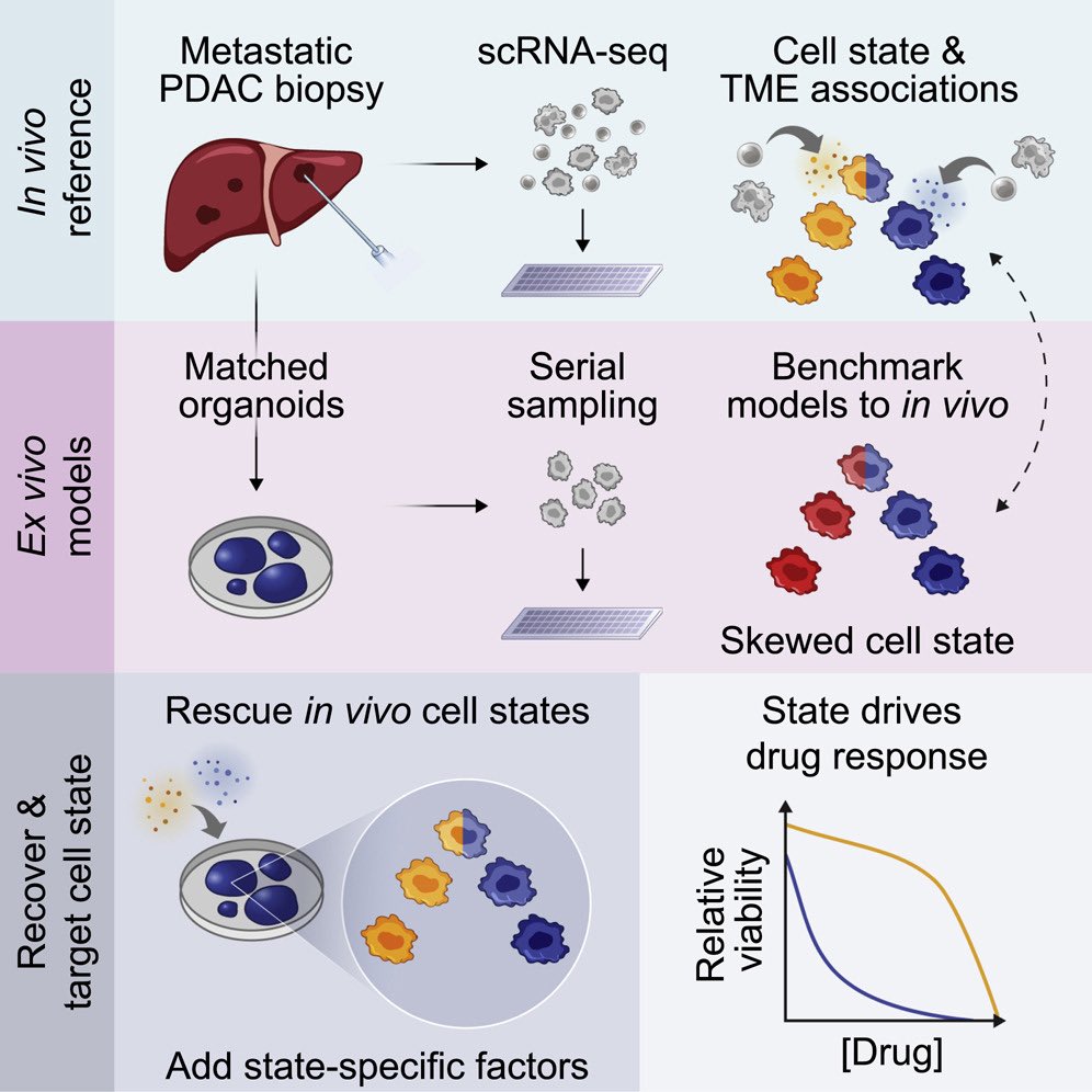 Anirban Maitra tweet media