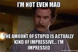KenziAlba's tweet photo. @Kjell52059994 @ArizonaDMK @AFP Yes, I have

And I don't need a right-wing simpleton - that Eric Blair hated so much he didn't make any reference to - to tell me.

The stupidity is off the Richter Scale! https://t.co/PUZzuGgPuZ