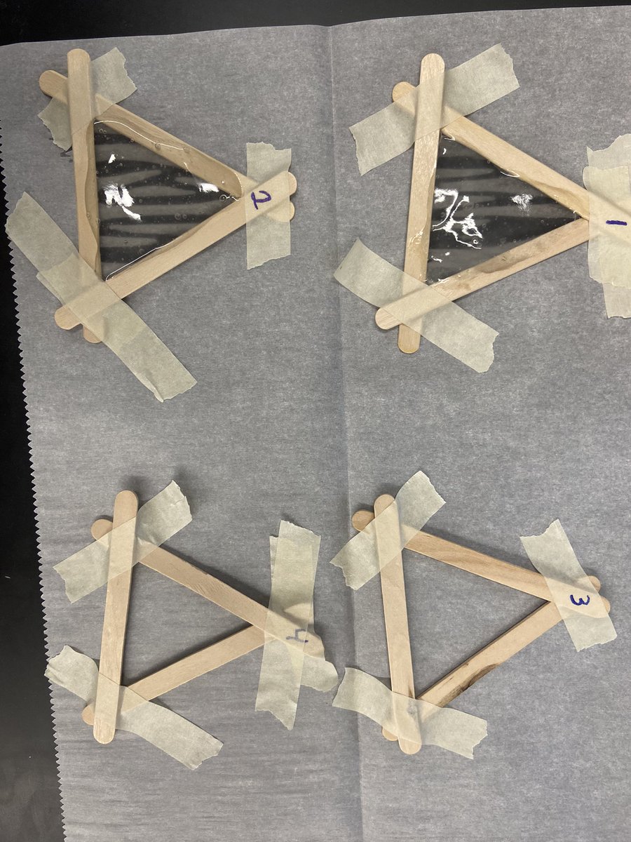 Biopolymer day is back! I’ve been waiting two years for students to tackle this lab!#stem #inquiry #bioplastics #webeCG #chemistry